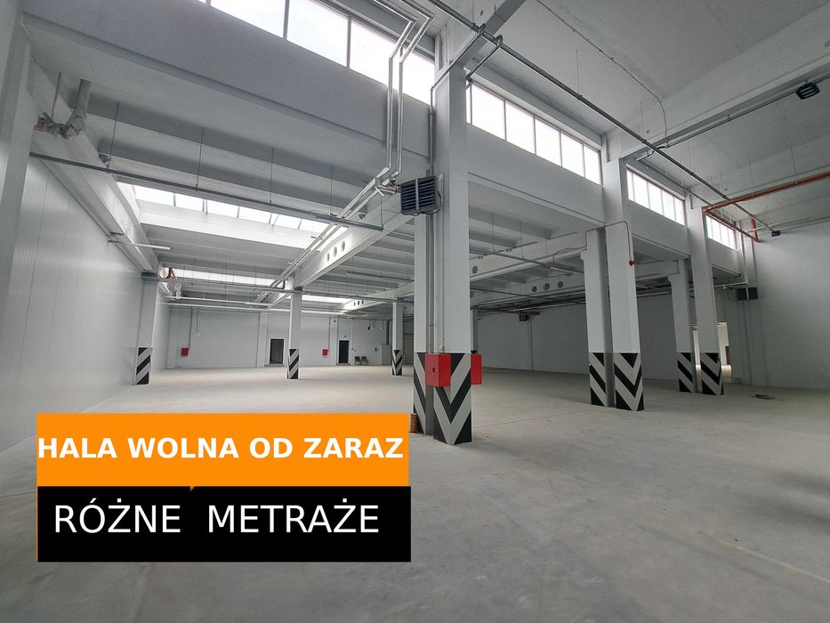 hala   magazyn 1194m2  Rybitwy