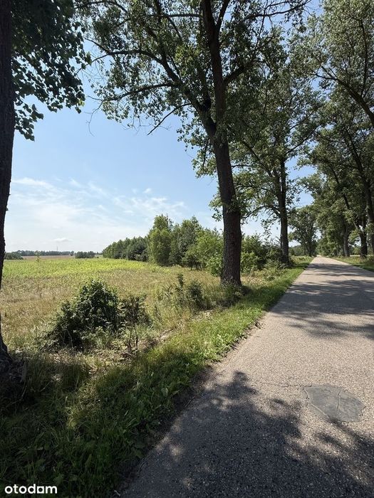 Sępochów | Mpzp | rolna | pod siedlisko | - Widok 3