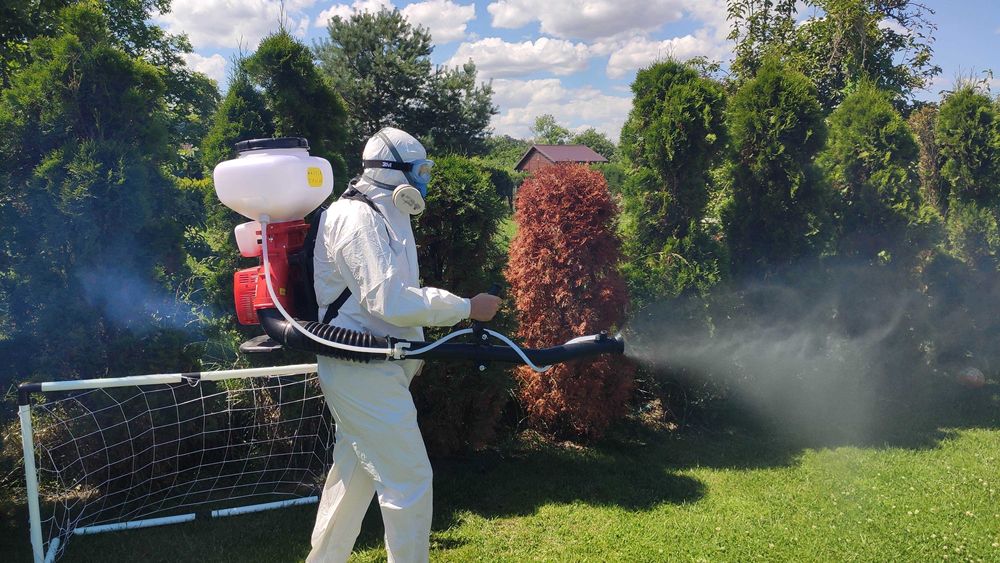 Pluskwy, karaczany, szczury. Dezynsekcja Dezynfekcja Deratyzacja