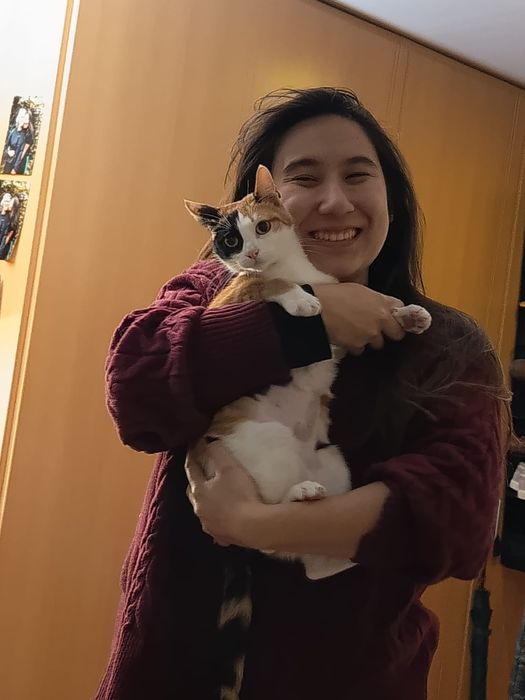 Filhote cão 6 meses