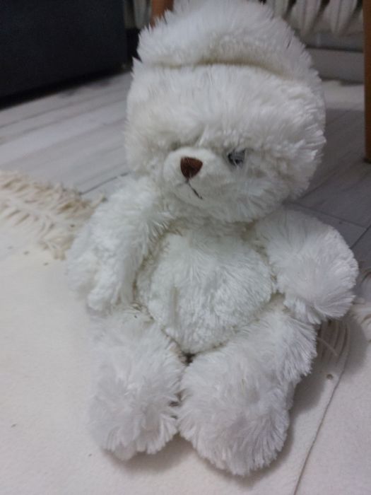 Miś biały Bukowski