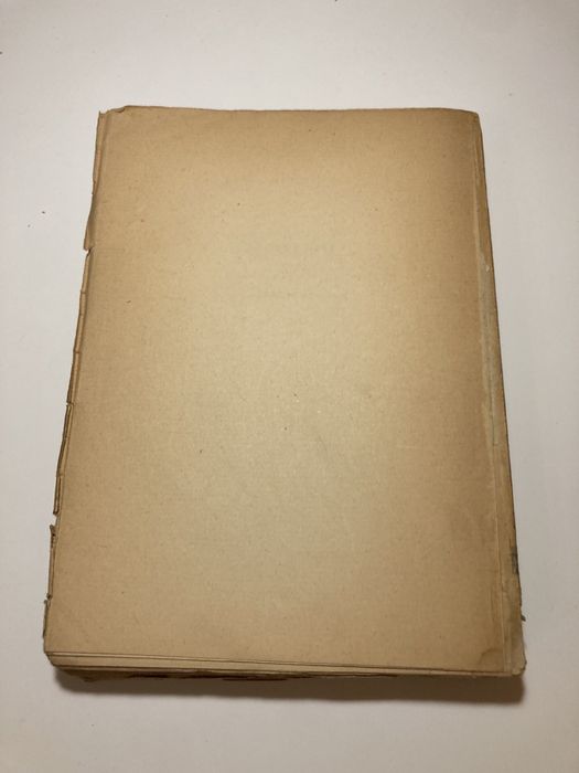 Szerszeń- L.E. Voynich