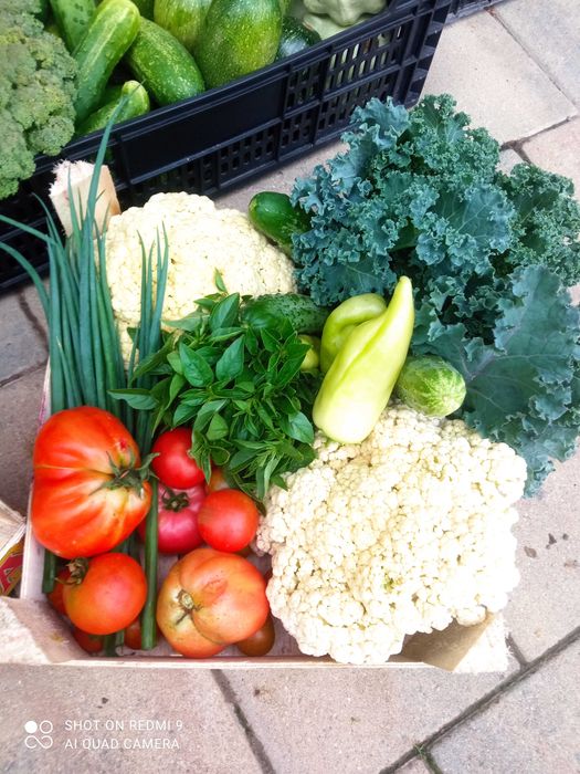 Oddam miejsce pod zrębki, eko pod warzywa, ZA DARMO,Ochojno k. Krakowa