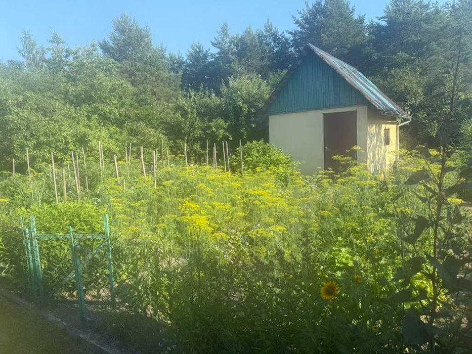 Działka ROD Malinka w Ełku