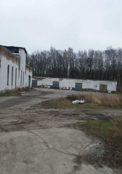 м. Славута 7га під виробництво, з комунікаціями.