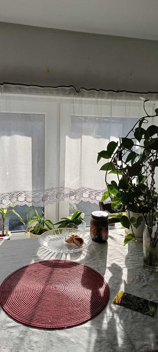 Pokój w mieszkaniu trzypokojowym dla kobiety - Widok 5