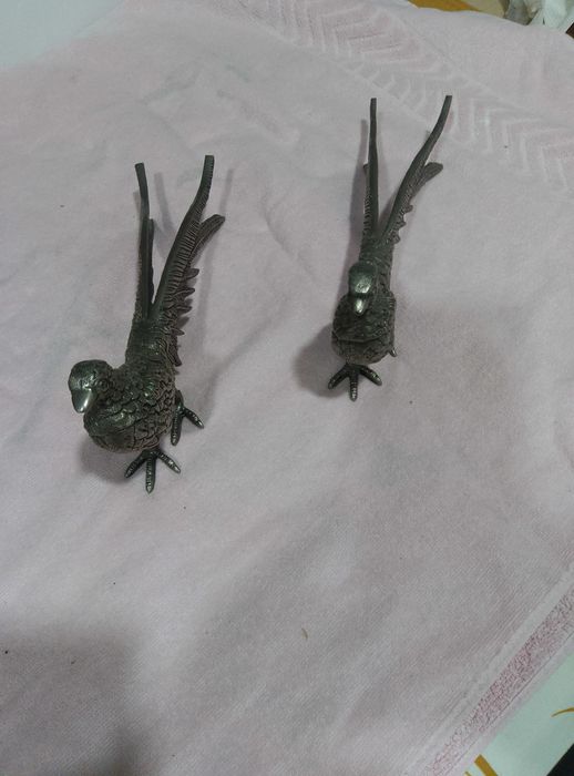 PAVOES 2 macho e femea em metal