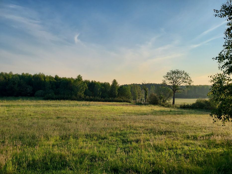 Duża  Działka Krąg zachodniopomorski.