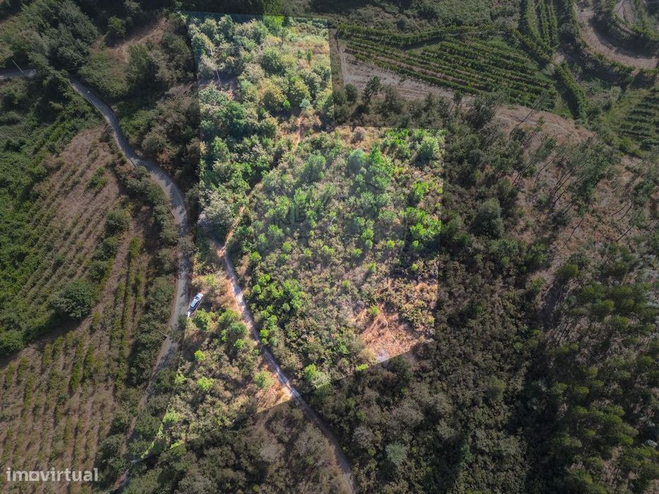 Terreno  para venda — Lufrei, Porto