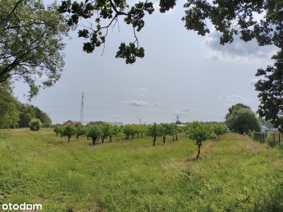 Działki budowlane Szczecin Płonia - od osoby prywatnej