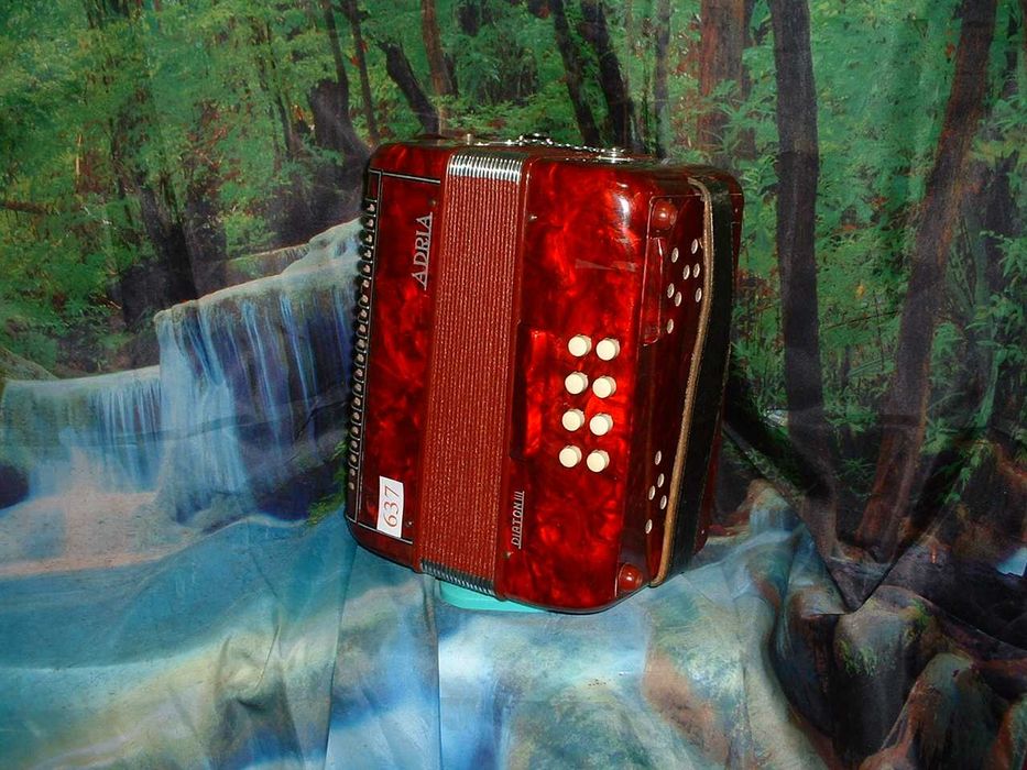 Accordion for Sale No. 63764286586408065122