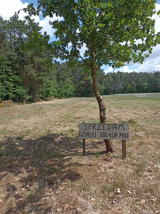 Sprzedam działki rekreacyjne