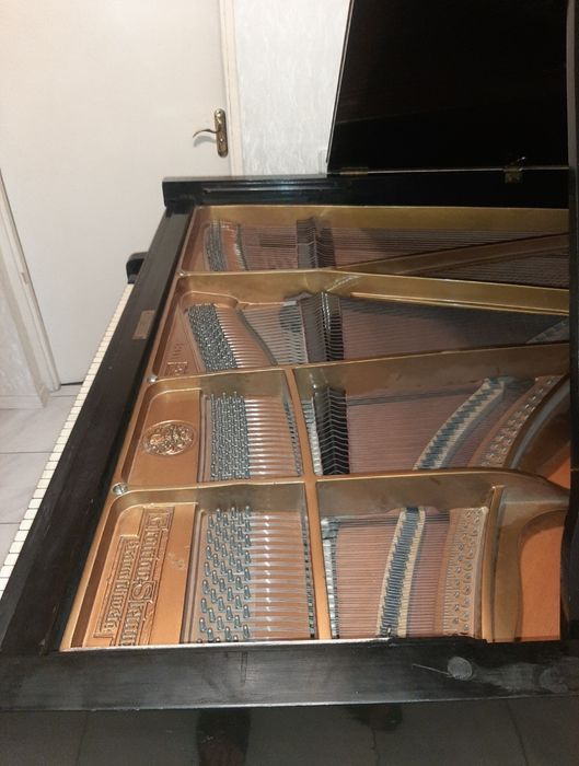 STEINWAY ( Grotrian Steinweg ) 200 cm