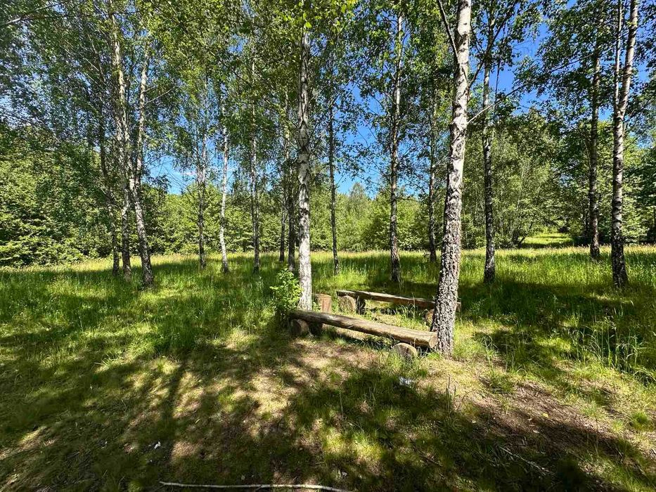 Продається земельна ділянка в с. Ракош