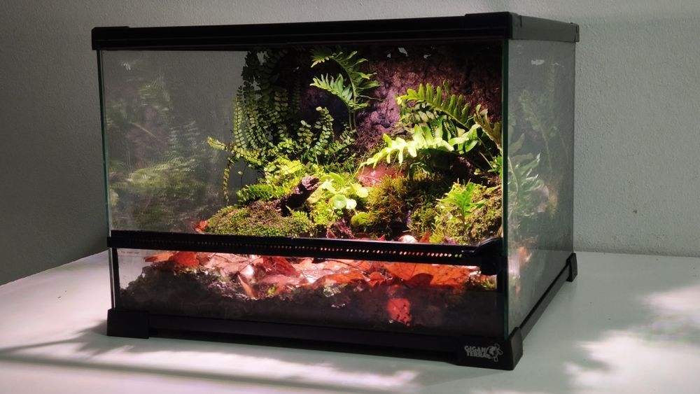 Terrários Giganterra