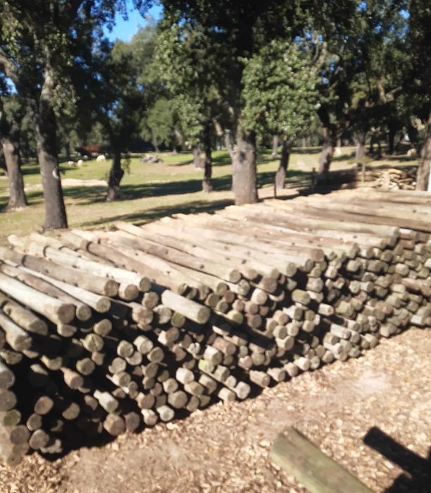 Paus Madeira da Vinha Usados, 2.0 m x 5-7 cm