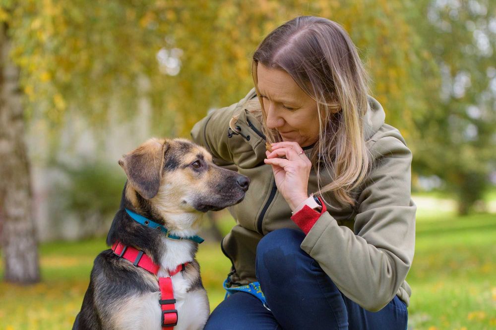 TULUKA - psi dzieciak uczy się żyć normalnie, szczeniak ok. 10 mscy