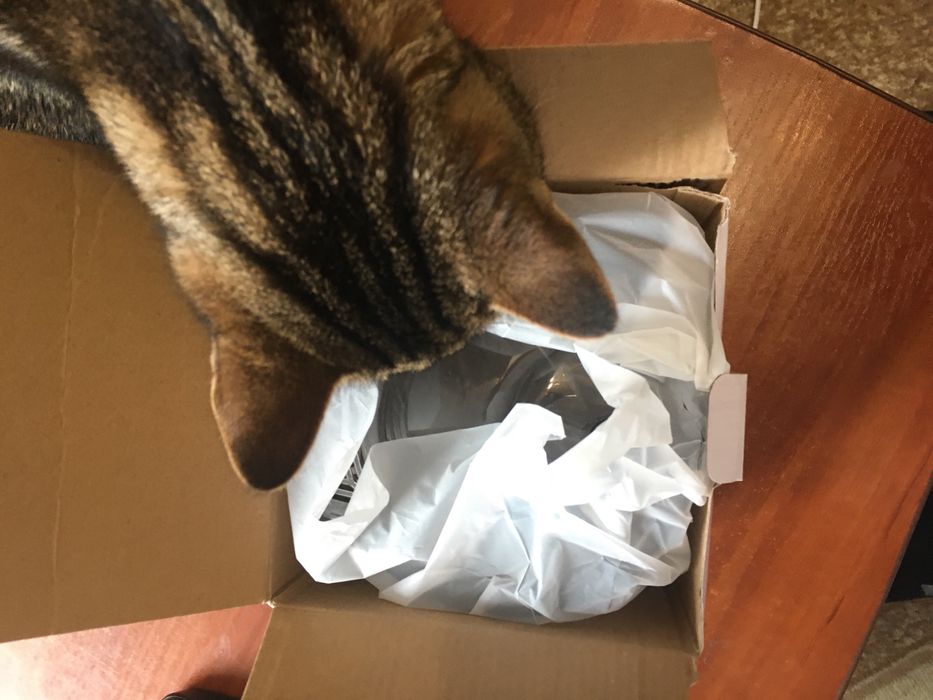 Автоматическая поилка для кота.