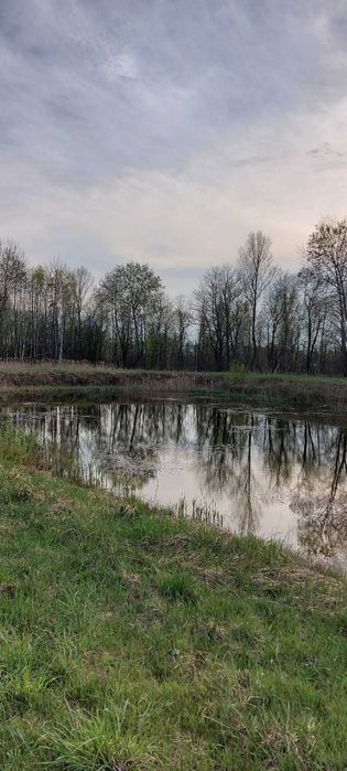 Іванківська ОТГ, панський маєток з озерами і ділянкою 4.50 га.