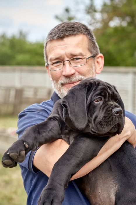 Шикарні цуценята