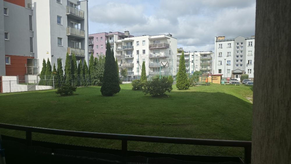 Zdjęcie 8
