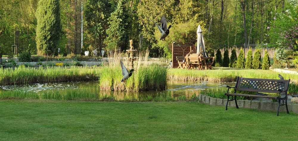 Pokoje  LAZUR -Wyspa Sobieszewska-nocleg Sobieszewo