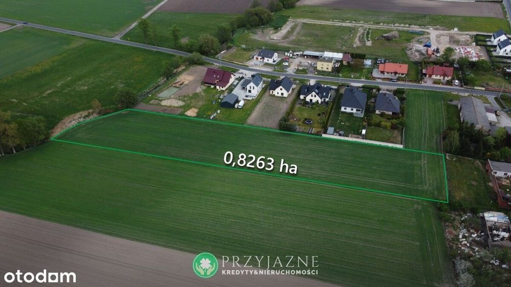 Ogromna działka z domem - miejscowość Główna, gm. Pobiedziska - Widok 4