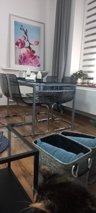 Szklany stół i 4 krzesła