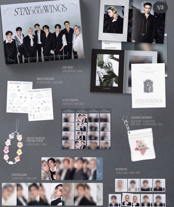 Stray Kids membership+ kit