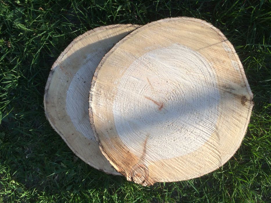 plastry drewna osikowego