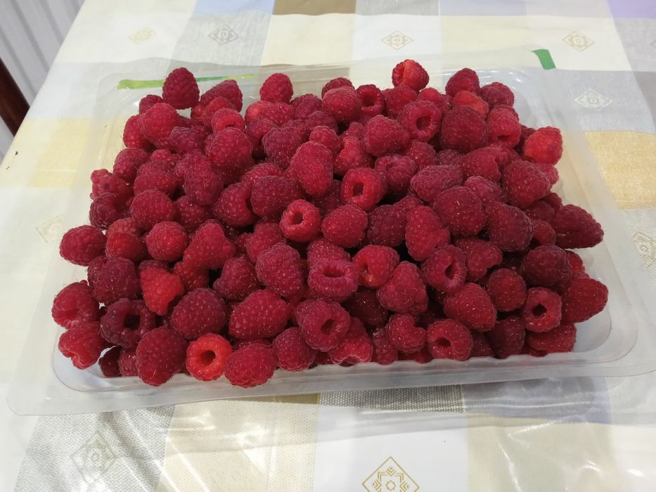 Maliny bez opryskow i chemii