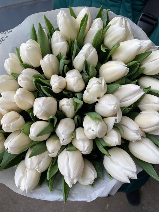 ХІТ! Український тюльпан / гурт опт / від 30 грн / висота до 50 см