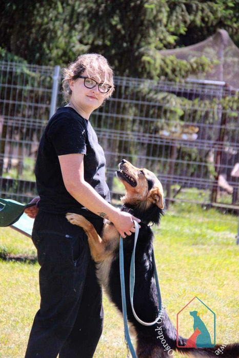 DELIKATNY, UCZUCIOWY, oddany, śliczny - adoptuj pupila