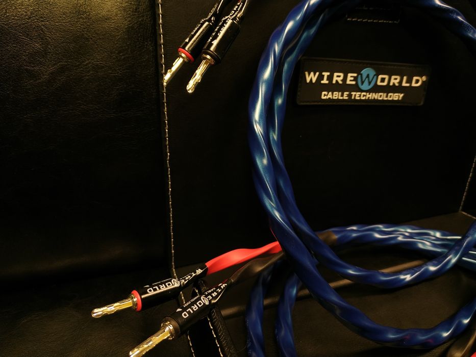 WireWorld Oasis 10 wtyki silver kable głośnikowe konfekcja Trans Audio