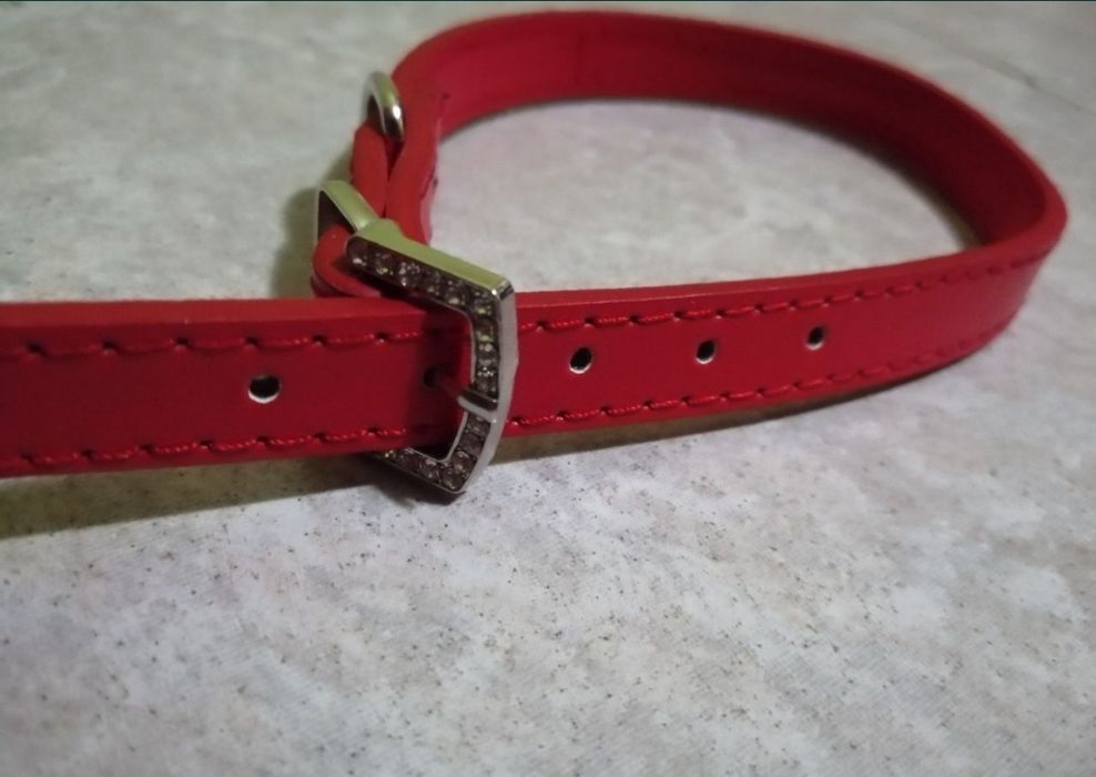 Czerwona obroża obróżka cyrkonie SM nowa dla psa kota