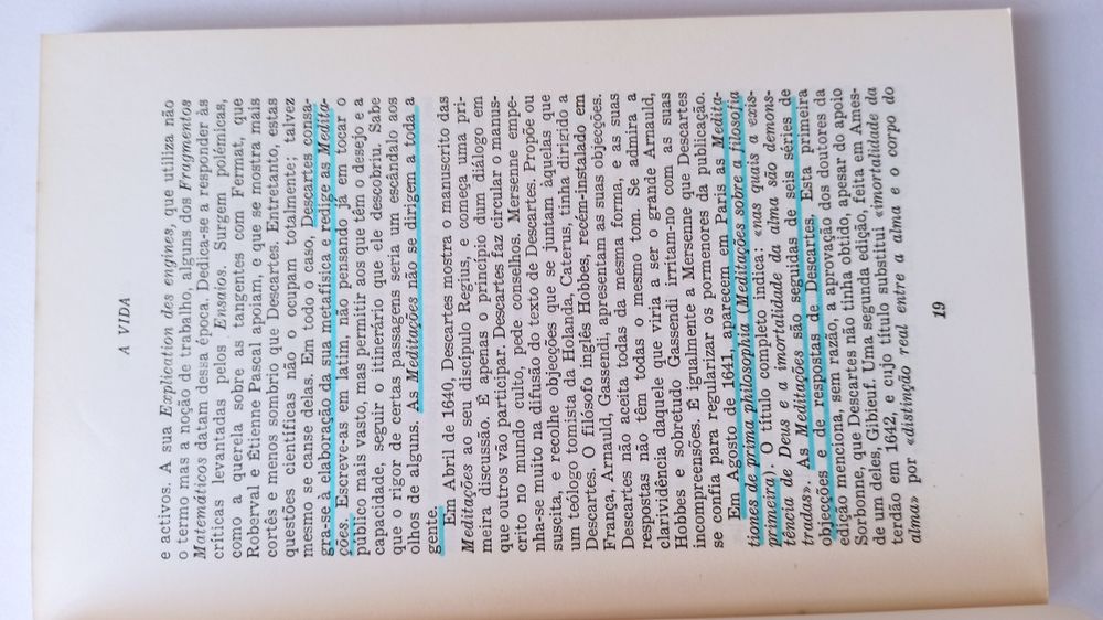 Descartes - Michelle Beyssade