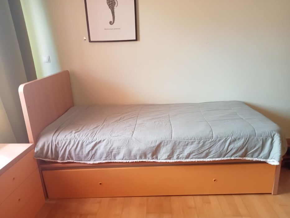 Cama dupla laranja