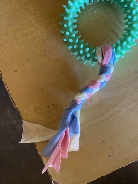 Zabawka dla psa nowa tanio