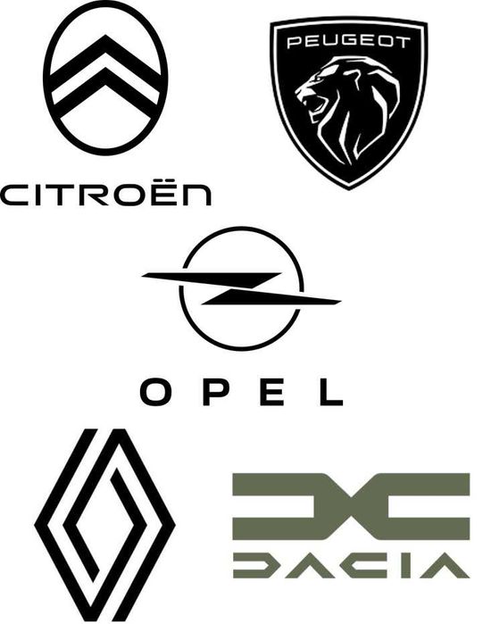 CITROEN PEUGEOT RENAULT DACIA OPEL Fiat Historia serwisowa po VIN  pdf