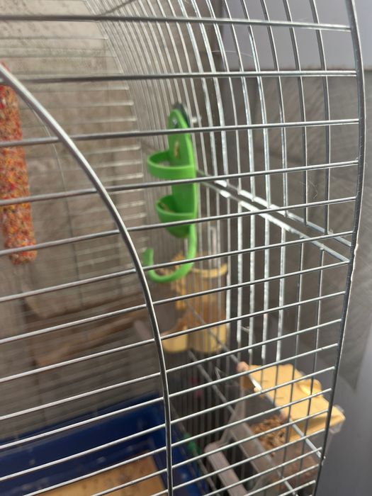 Клітка для папуги олх доставкою не відпраляю