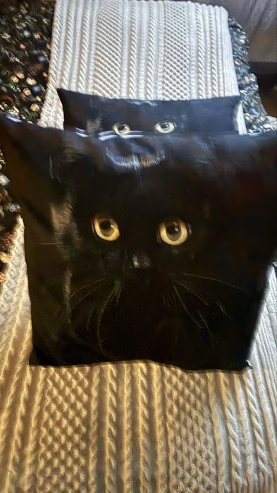 Czarny kot- 2xposzewka 50x50