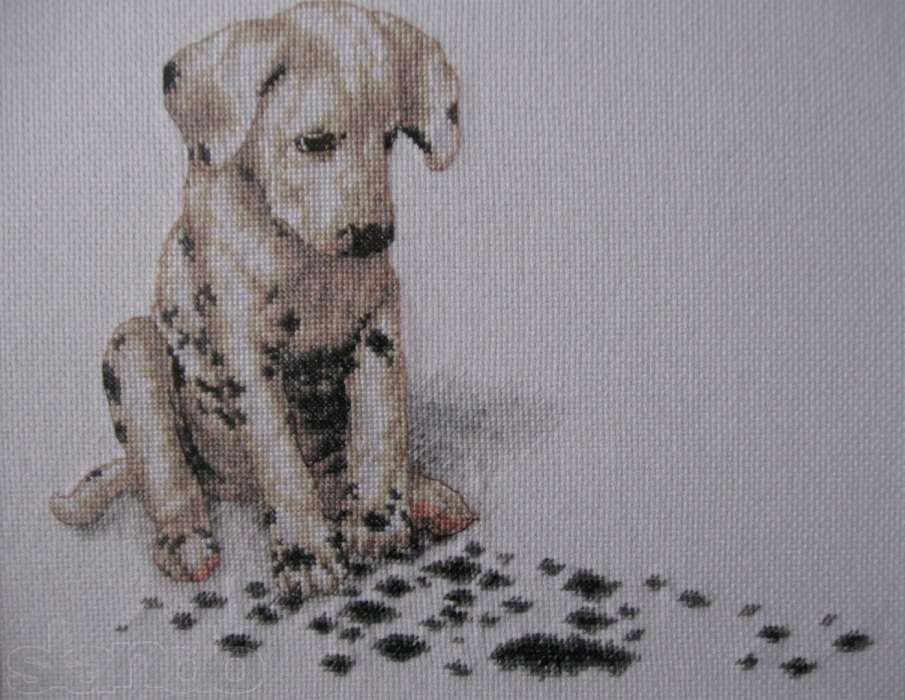 Вышивка крестом "Апчхи"