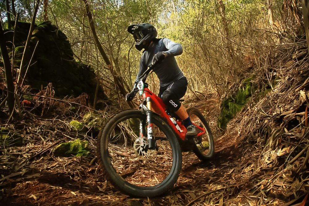 Specialized Turbo Levo Pro