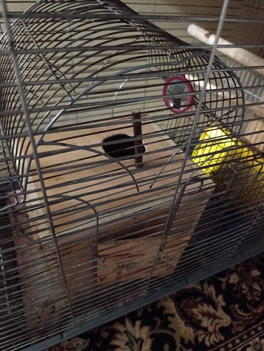 Клітка велика для великих середніх папуг клетка для попугая