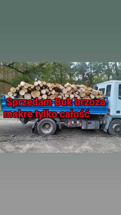 Drewno Opałowe kominkowe