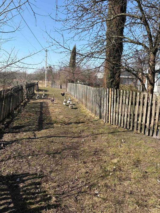 Житловий будинок та земельна ділянка 25 сот. смт. Добротвір