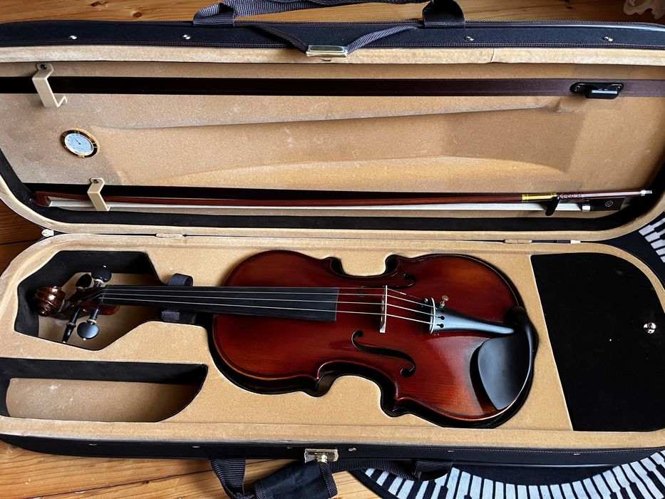 Скрипка пташине око