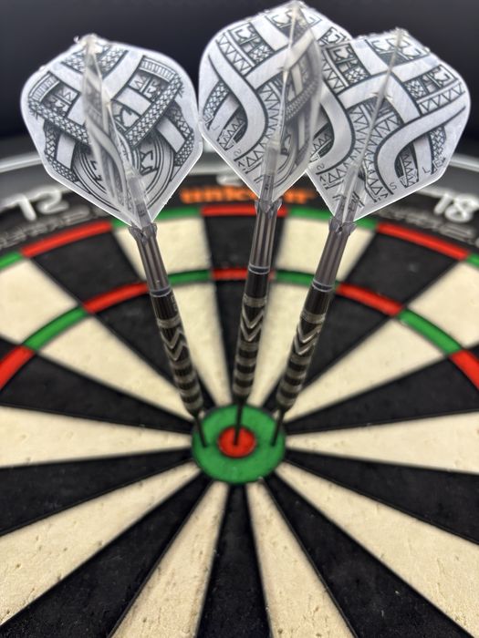 Gerwyn price 24g WC2021