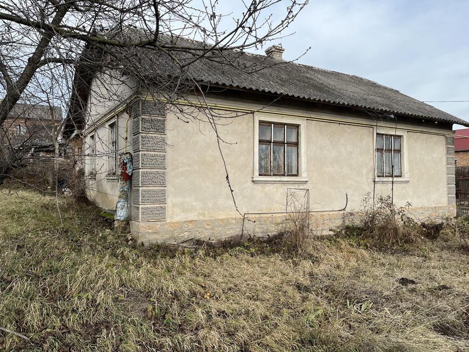 Будинок з земельною ділянкою 12.3 сотих с.Петриків