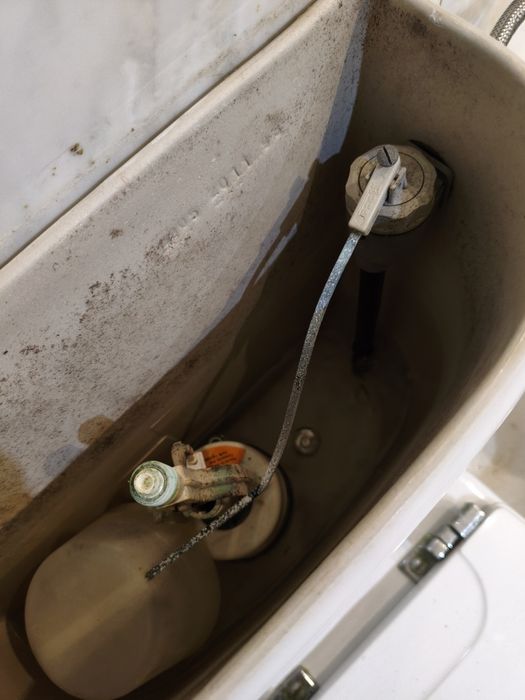 Canalizador com experiência